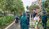  Huy động các lực lượng làm thông trưa khắc phục hậu quả do bão số 3 gây ra