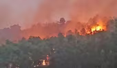 Điều tra, xử lý các vụ cháy rừng tại huyện Sóc Sơn
