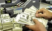 Mua bổ sung 3 tỉ usd dự trữ ngoại hối