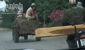 Tăng đột biến nạn vận chuyển lâm sản trái phép