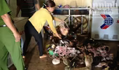 Một cá nhân tàng trữ hàng trăm kg động vật hoang dã 