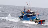 Bình Định: 2 tàu cá bị nạn trên biển đã vào bờ an toàn