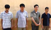 Khởi tố 4 đối tượng trộm 9 con trâu