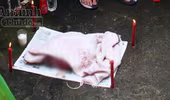 Phát hiện thi thể bé sơ sinh lẫn trong rác thải