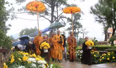 Về Quảng Ninh ghé thăm lễ hội hoa cúc 