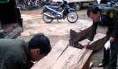 Bắt 2 vụ buôn gỗ lậu trị giá gần 300 triệu đồng