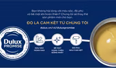 AkzoNobel giới thiệu chương trình “Dulux Promise - Cam kết 3 chuẩn”