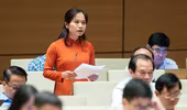 Đại biểu Quốc hội: Cần xem xét trách nhiệm lãnh đạo cơ quan chủ quản trong ban hành văn bản pháp luật
