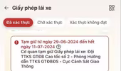 Mới: Chủ xe có thể dùng bản giấy thay thế khi bằng lái xe đã bị tước/tạm giữ trên VNeID?