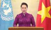 Thông điệp của Chủ tịch Quốc hội tại phiên họp Liên hợp quốc về phụ nữ