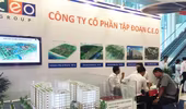 Tập đoàn CEO nói gì về việc lợi nhuận âm, cổ phiếu bị đưa vào diện cảnh báo