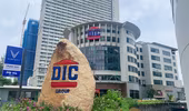 DIC Corp (DIG) bị phạt 470 triệu đồng