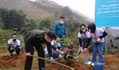 25.000 cây xanh trao tặng người dân và chính quyền xã Dương Quỳ