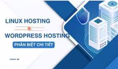 Linux vs WordPress hosting: Nhân Hòa trở thành lựa chọn tin cậy của nhiều người dùng 