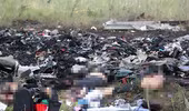 Còn 80 thi thể vẫn nằm tại hiện trường vụ rơi máy bay MH17