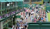 Cơn sốt Murray đẩy giá vé Wimbledon tăng vọt