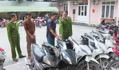Bắt ổ nhóm chuyên trộm cắp, tiêu thụ xe gian