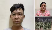 Bắt giữ cặp vợ chồng trồng cất giấu cần sa trong tủ quần áo