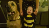 Bé trai bị chó cắn chết vào đúng ngày sinh nhật 1 tuổi