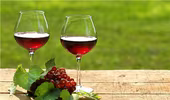 Uống rượu vang đỏ tốt cho thị lực