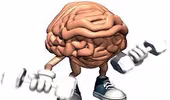 Bí kíp tăng cường trí não