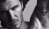 David Beckham "đẹp từng cm" trong quảng cáo mới