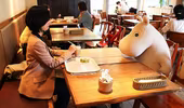 Cafe độc thân cùng gấu bông 