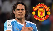 Chiêu mộ xong "sát thủ" Cavani, M.U lại mơ bay cao
