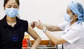 Phường Tứ Liên: Nữ cán bộ hợp đồng “xếp nốt” cho chồng và người nhà tiêm vaccine trước