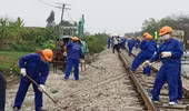 Thi công dự án 7.000 tỷ gia cố đường sắt gây tai nạn, nhiều cá nhân, tập thể bị kiểm điểm