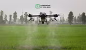Việt Nam chính thức có tiêu chuẩn cơ sở về phun thuốc trừ sâu bệnh bằng máy bay không người lái