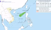 Bão số 12 vừa suy yếu, Biển Đông lại dậy sóng vì áp thấp nhiệt đới mới