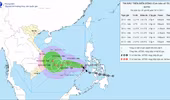 Bão số 15 diễn biến phức tạp, cường độ cực đại có thể giật cấp 14