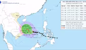 Bão số 15 giật cấp 15 gần như đứng yên giữa Biển Đông
