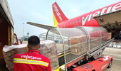 Những chuyến bay Vietjet chở đầy yêu thương 