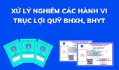 Hà Nội: Điều tra, xử lý hành vi gian lận, trục lợi bảo hiểm xã hội, y tế