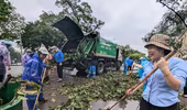 Hà Nội huy động xe tải của doanh nghiệp vào dọn dẹp cây đổ sau cơn bão số 3