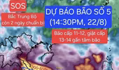 Bão số 5 dự báo rất mạnh, các tỉnh ven biển nên khẩn trương thu hoạch thủy sản 