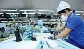Kiến nghị của cử tri Hà Nội: Vẫn "nóng" các vấn đề dân sinh