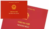 Bỏ yêu cầu chứng chỉ ngoại ngữ, tin học đối với giảng viên nghề