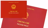 Bỏ yêu cầu về chứng chỉ ngoại ngữ, tin học với công chức hành chính từ 1/8