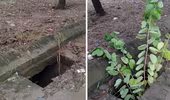 Miệng cống không nắp đậy quanh trường tiểu học