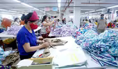 EVFTA: Cơ hội kỳ vọng cho Việt Nam
