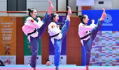 Đẳng cấp võ sĩ Taekwondo Việt Nam 