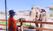 Hòa mình vào thiên nhiên hoang dã tại FLC Zoo Safari Park Quy Nhon