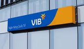 VIB: Lợi nhuận 9 tháng đạt 6.600 tỷ đồng, tín dụng tăng 12%, vượt trội trung bình ngành