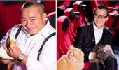 Đạo diễn Vũ Ngọc Đãng “lăng xê”... vịt và mèo!