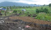 Chi hàng chục tỷ đồng để bảo vệ, rừng vẫn bị phá
