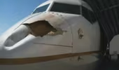 Máy bay Mỹ thủng lỗ lớn vì bị chim... "tấn công"