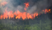Cháy rừng ở Canada khiến lượng phát thải CO2 tăng cao